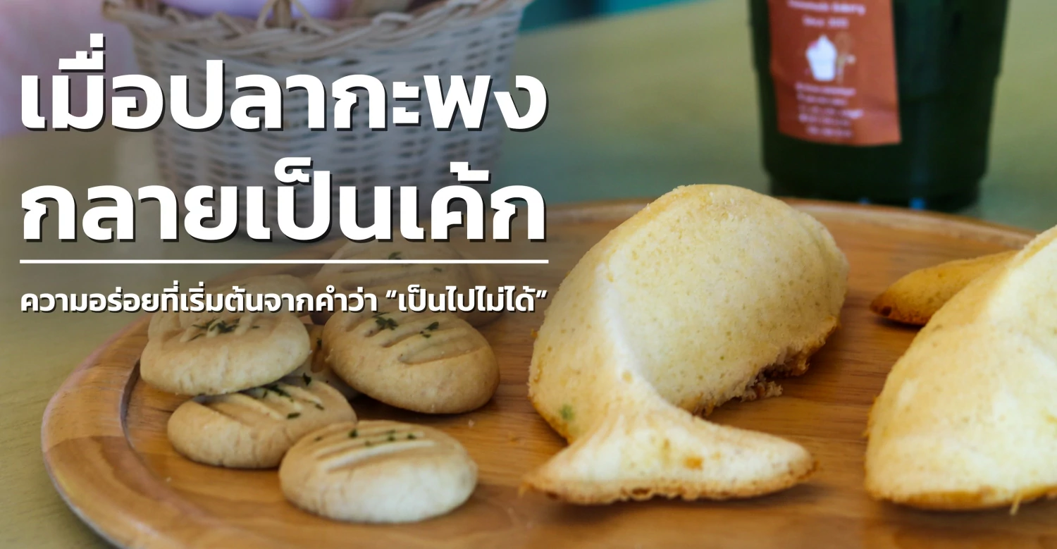เมื่อปลากะพงกลายเป็นเค้ก ความอร่อยที่เริ่มต้นจากคำว่า “เป็นไปไม่ได้”