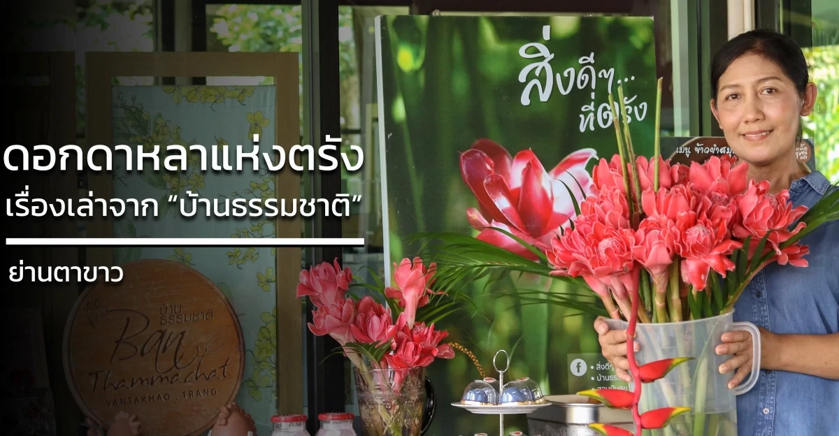 ดอกดาหลาแห่งตรัง: เรื่องเล่าจาก “บ้านธรรมชาติ” ที่ย่านตาขาว