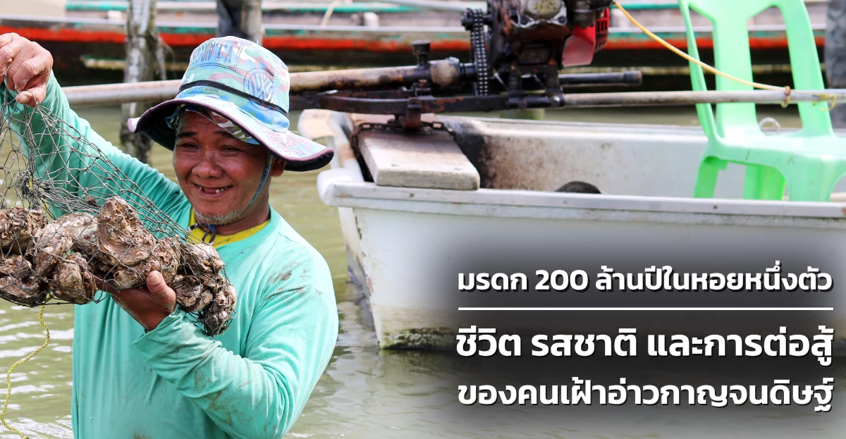 หอยนางรม สินมานะฟาร์ม