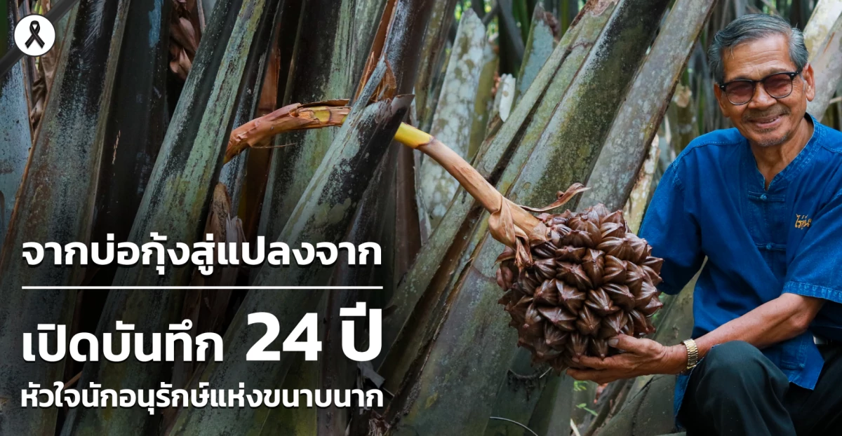 จากบ่อกุ้งสู่แปลงจาก: เปิดบันทึก 24 ปี หัวใจนักอนุรักษ์แห่งขนาบนาก