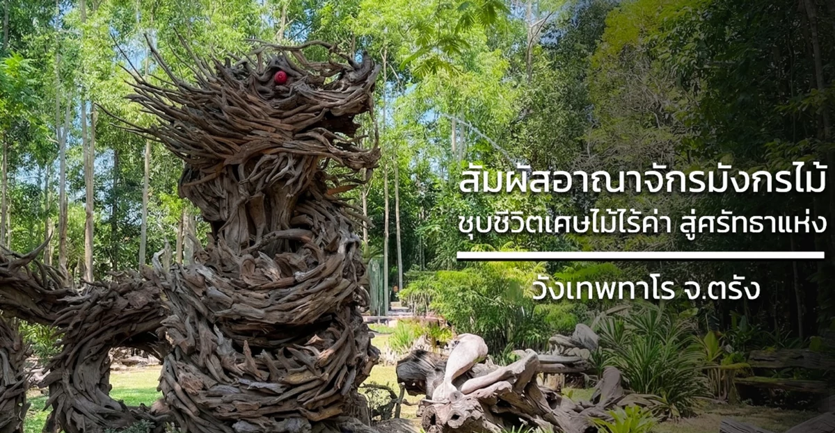 สัมผัสอาณาจักรมังกรไม้ ชุบชีวิตเศษไม้ไร้ค่า สู่ศรัทธาแห่ง "วังเทพทาโร"