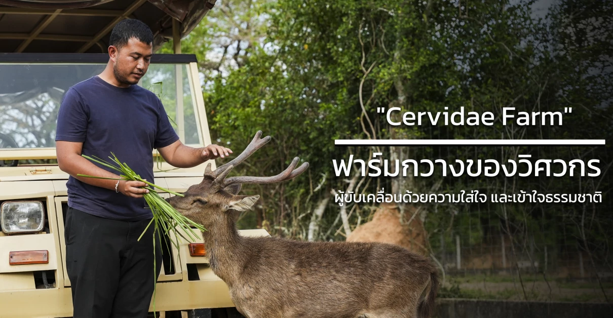 "Cervidae Farm" ฟาร์มกวางของวิศวกร ผู้ขับเคลื่อนด้วยความใส่ใจ และเข้าใจธรรมชาติ