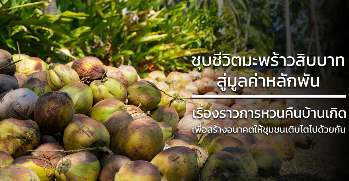 ชุบชีวิตมะพร้าวสิบบาท สู่มูลค่าหลักพัน: เรื่องราวการหวนคืนบ้านเกิด เพื่อสร้างอนาคตให้ชุมชนเติบโตไปด้วยกัน