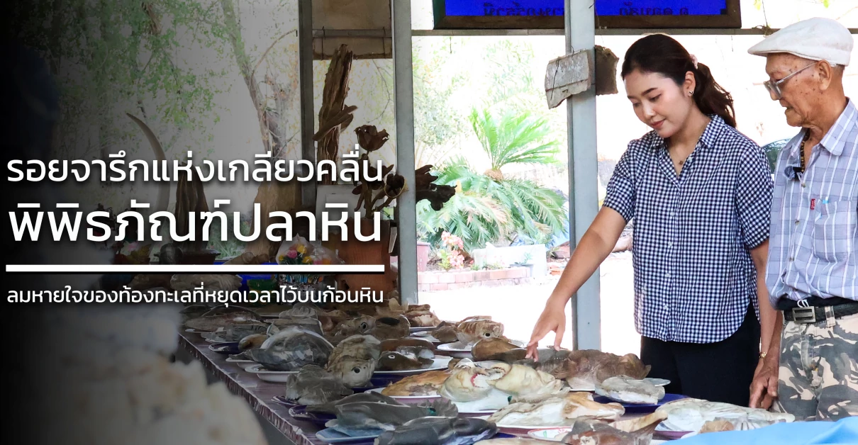 รอยจารึกแห่งเกลียวคลื่น: “พิพิธภัณฑ์ปลาหิน” ลมหายใจของท้องทะเลที่หยุดเวลาไว้บนก้อนหิน