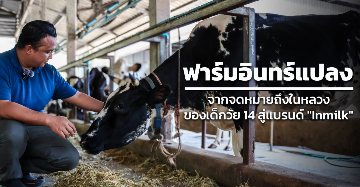 ฟาร์มอินทร์แปลง : จากจดหมายถึงในหลวงของเด็กวัย 14 สู่แบรนด์ "Inmilk"